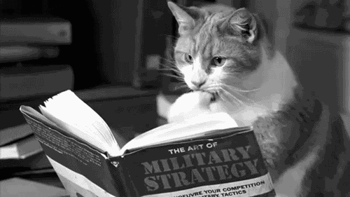 kitty reading book